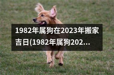 1982年属狗在2023年搬家吉日(1982年属狗2023年搬家吉日大揭秘：怎么挑选吉日搬家？)