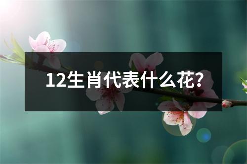 12生肖代表什么花？