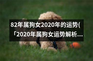82年属狗女2020年的运势(「2020年属狗女运势解析」)
