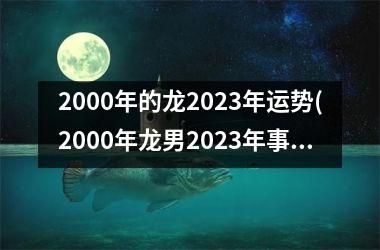 2000年的龙2023年运势(2000年龙男2023年事业和婚姻)