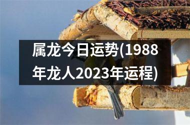 属龙今日运势(1988年龙人2023年运程)