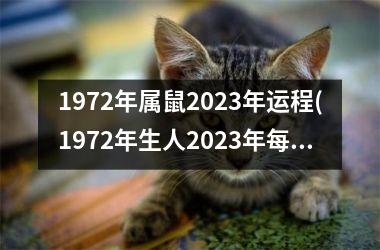 1972年属鼠2023年运程(1972年生人2023年每月运程)
