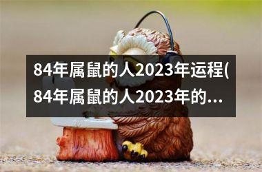 84年属鼠的人2023年运程(84年属鼠的人2023年的运势及运程)