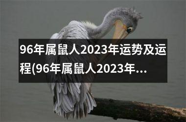 96年属鼠人2023年运势及运程(96年属鼠人2023年运势)