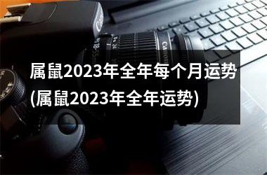 属鼠2023年全年每个月运势(属鼠2023年全年运势)