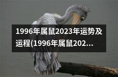 1996年属鼠2023年运势及运程(1996年属鼠2023年运势及运程每月运程)