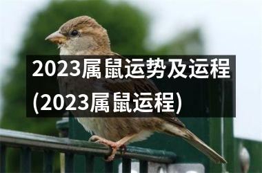 2023属鼠运势及运程(2023属鼠运程)