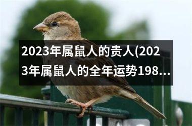 2023年属鼠人的贵人(2023年属鼠人的全年运势1984出生)