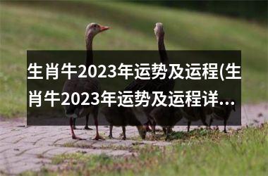 生肖牛2023年运势及运程(生肖牛2023年运势及运程详解)