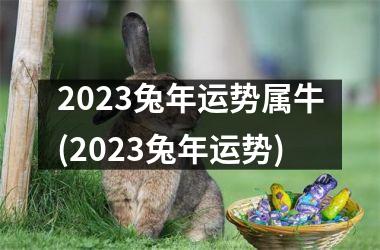 2023兔年运势属牛(2023兔年运势)