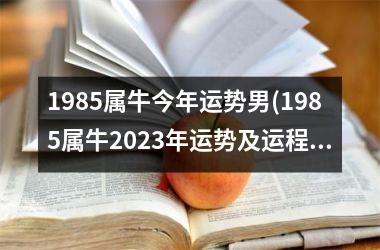1985属牛今年运势男(1985属牛2023年运势及运程)