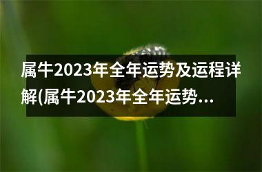 属牛2023年全年运势及运程详解(属牛2023年全年运势运程)