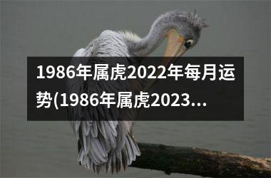 1986年属虎2022年每月运势(1986年属虎2023年运势及运程)
