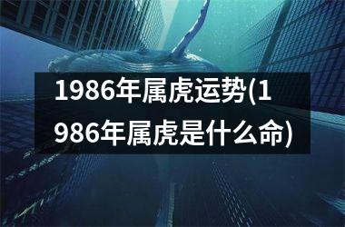1986年属虎运势(1986年属虎是什么命)