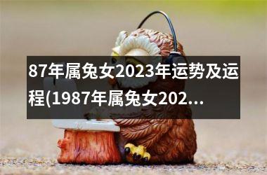 87年属兔女2023年运势及运程(1987年属兔女2023年运势及运程)