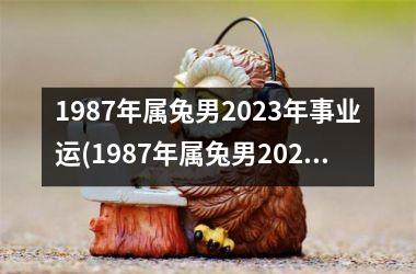 1987年属兔男2023年事业运(1987年属兔男2023年的运势和婚姻)