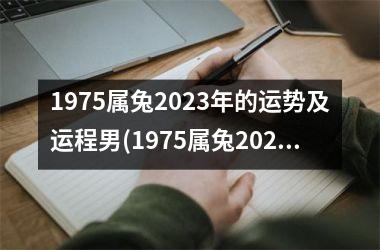 1975属兔2023年的运势及运程男(1975属兔2023年的运势及运程)