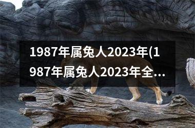 1987年属兔人2023年(1987年属兔人2023年全年运势)