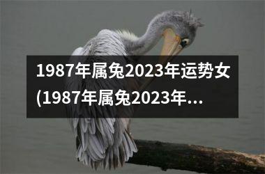 1987年属兔2023年运势女(1987年属兔2023年运势及运程)