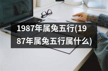 1987年属兔五行(1987年属兔五行属什么)