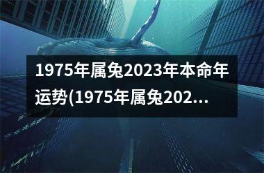 1975年属兔2023年本命年运势(1975年属兔2023年运势及运程每月运程)