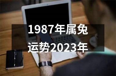 1987年属兔运势2023年