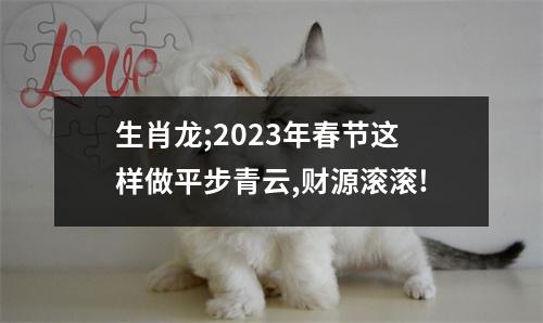 生肖龙;2023年春节这样做平步青云,财源滚滚!