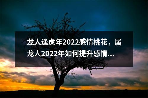 龙人逢虎年2022感情桃花，属龙人2022年如何提升感情运