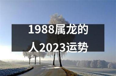 1988属龙的人2023运势