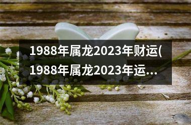 1988年属龙2023年财运(1988年属龙2023年运势及运程)
