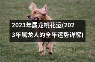 2023年属龙桃花运(2023年属龙人的全年运势详解)