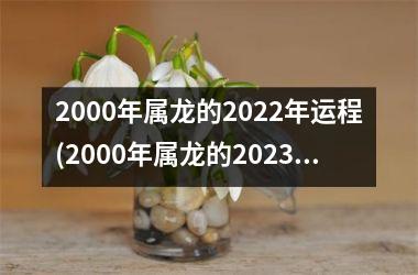 2000年属龙的2022年运程(2000年属龙的2023年运势)