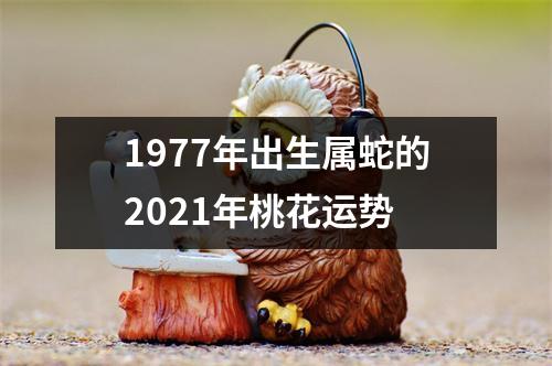 1977年出生属蛇的2021年桃花运势
