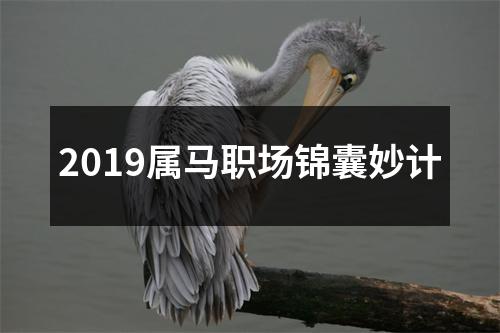 2019属马职场锦囊妙计