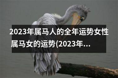 2023年属马人的全年运势女性 属马女的运势(2023年属马人的全年运势详解)