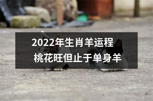 2022年生肖羊运程桃花旺但止于单身羊