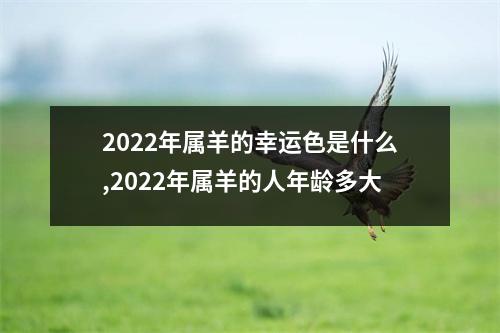 2022年属羊的幸运色是什么,2022年属羊的人年龄多大