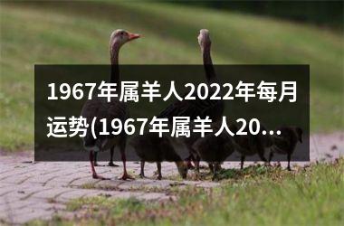 1967年属羊人2022年每月运势(1967年属羊人2022年运势男性)