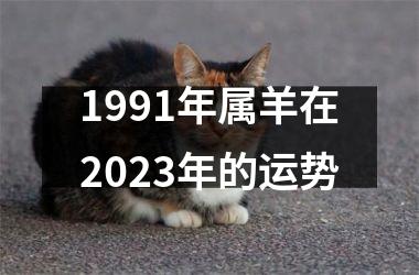 1991年属羊在2023年的运势