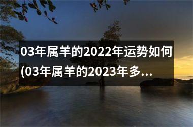 03年属羊的2022年运势如何(03年属羊的2023年多大)