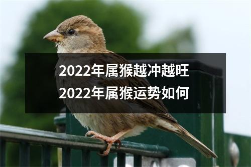 2022年属猴越冲越旺2022年属猴运势如何