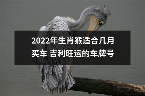 2022年生肖猴适合几月买车吉利旺运的车牌号