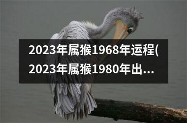 2023年属猴1968年运程(2023年属猴1980年出生的全年的运势)