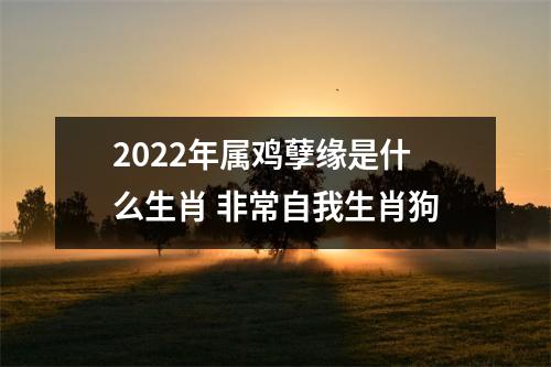2022年属鸡孽缘是什么生肖非常自我生肖狗