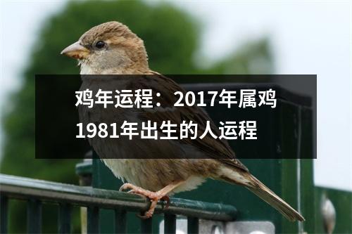 鸡年运程：2017年属鸡1981年出生的人运程