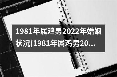 1981年属鸡男2022年婚姻状况(1981年属鸡男2023年运势及运程每月运程)