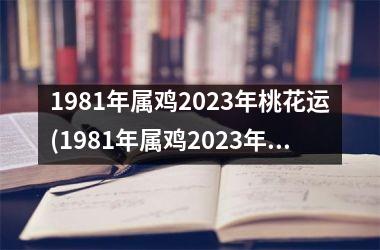 1981年属鸡2023年桃花运(1981年属鸡2023年运势)