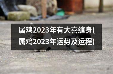 属鸡2023年有大喜缠身(属鸡2023年运势及运程)