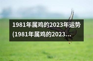 1981年属鸡的2023年运势(1981年属鸡的2023年运势运程)