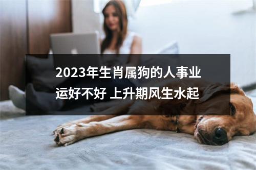 2023年生肖属狗的人事业运好不好上升期风生水起
